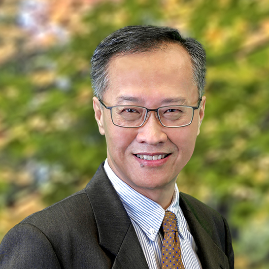 Singapore leadership