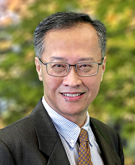 Singapore leadership